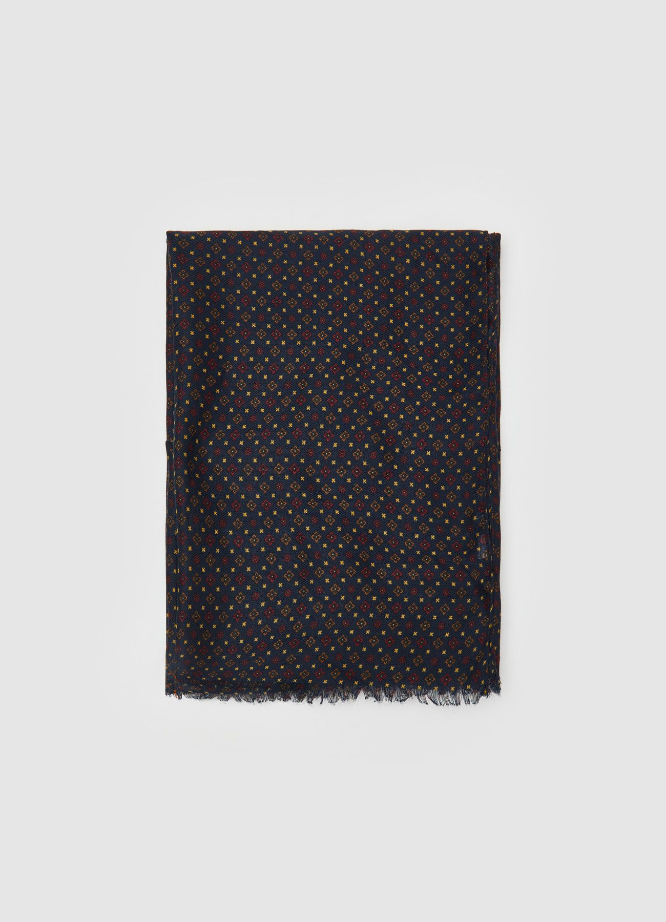 Écharpes/Foulard Homme Calliope det_4