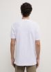 T-Shirt MC Uomo Calliope in_i4